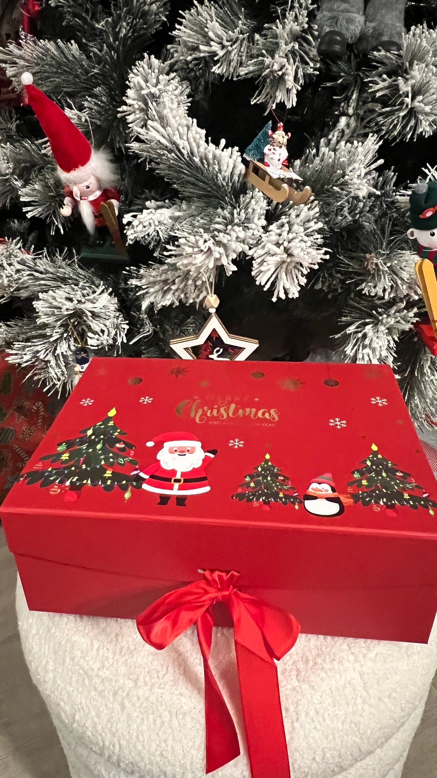 đ GRANDE BOX DE NOEL - EDITION LIMITEE SIGNEE CLOTHES BY M&C