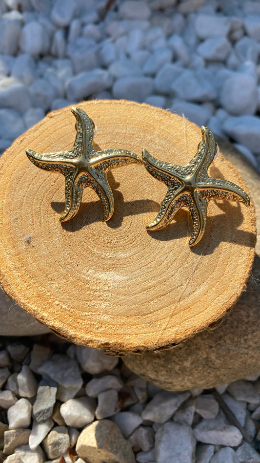 Boucles d'oreilles "Etoiles de MER"