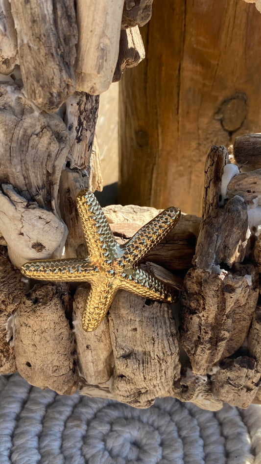 Broche dorée "étoile de Mer"