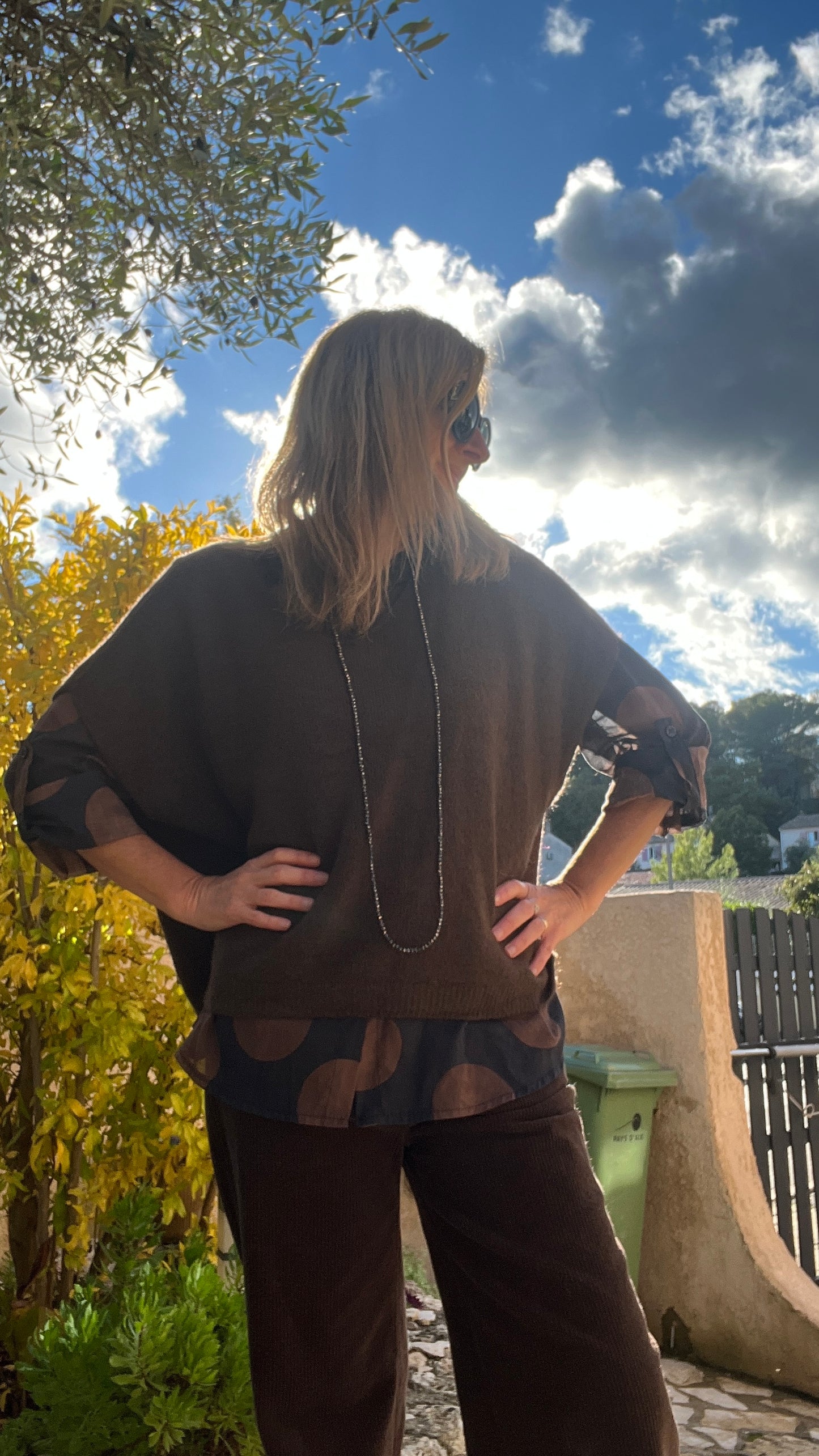 PULL SANS MANCHES "ALPAGA"